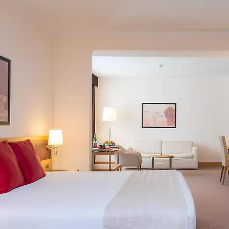 Plaza Hotel 4*